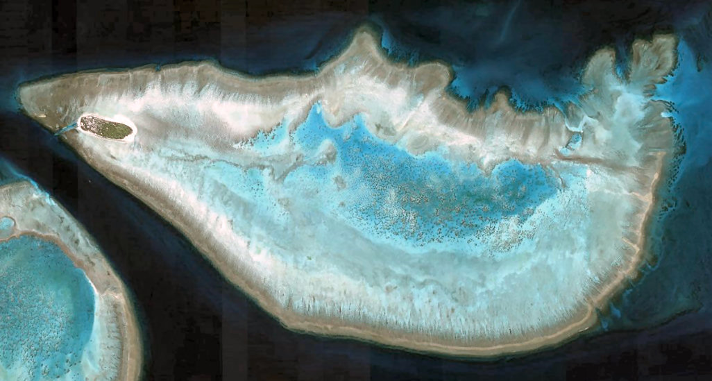 Reef around Heron Island